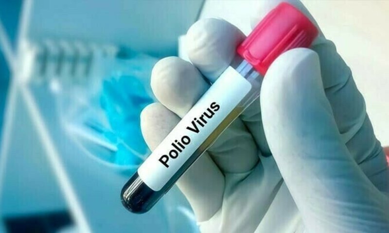 Zambia polio outbreak